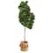 5.5ft. Fiddle Leaf Fig Artificial Tree in Handmade Natural Jute Planter with Tassels